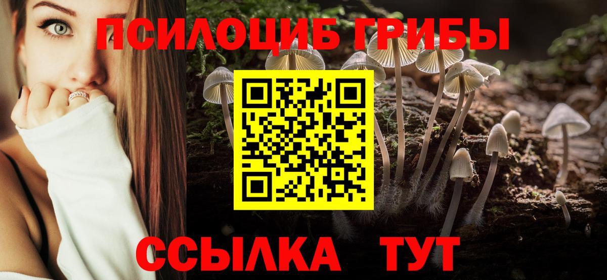 Нижнекамск  Псилоцибиновые грибы ЛСД  Вход с VPN 