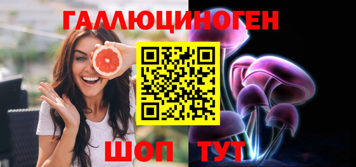 Псилоцибиновые грибы Psilocybine cubensis Нижнекамск